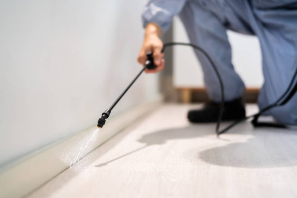 Licensed Termite Control service in Bethlehem, WV - Nex Pest Control
