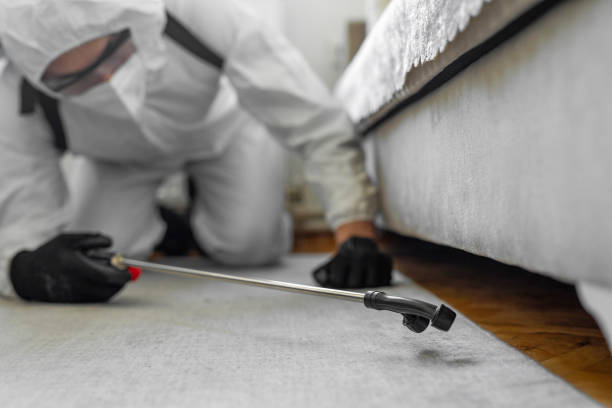 Professional Termite Control technician working in Bethlehem, WV